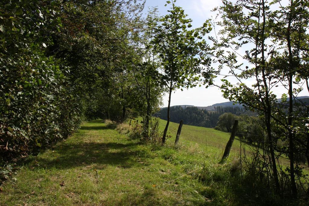 Apartamento Landhaus Gnacke Schmallenberg Exterior foto