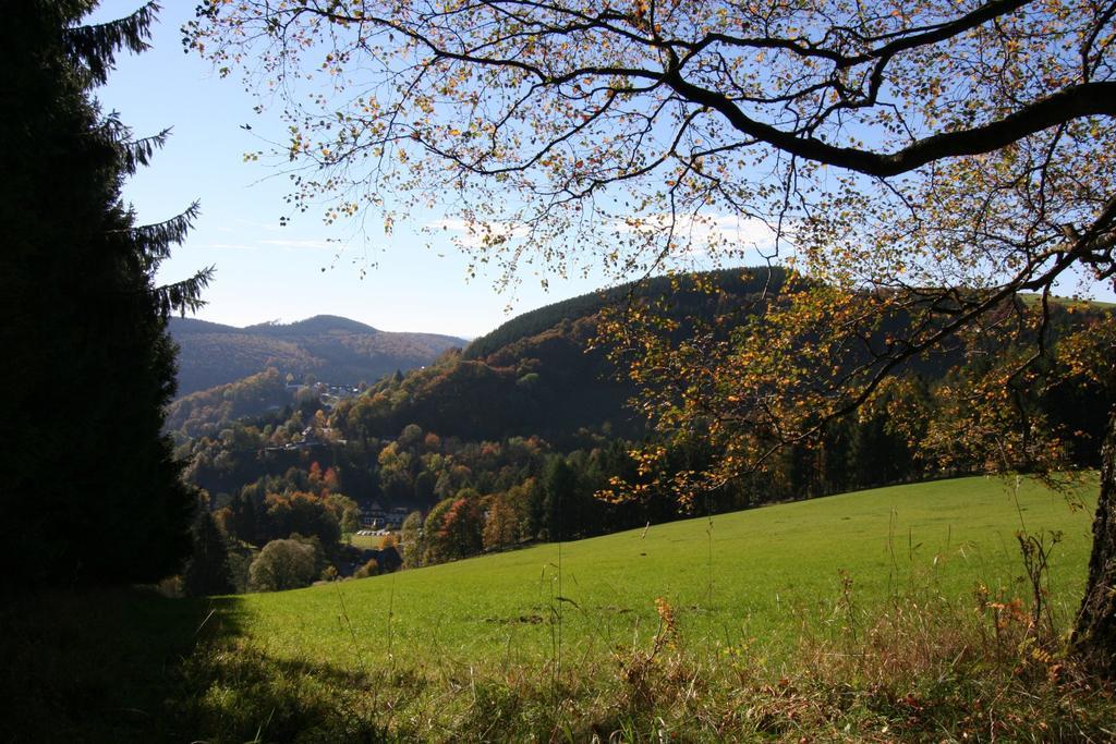 Apartamento Landhaus Gnacke Schmallenberg Exterior foto